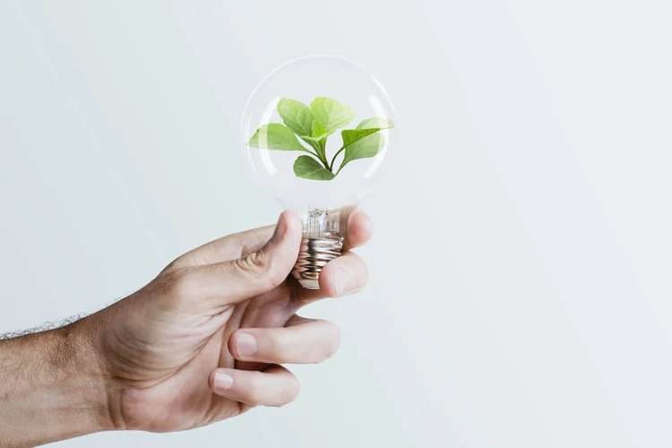 Green Energy Race: Where Do Turkey and Germany Stand in 2025?